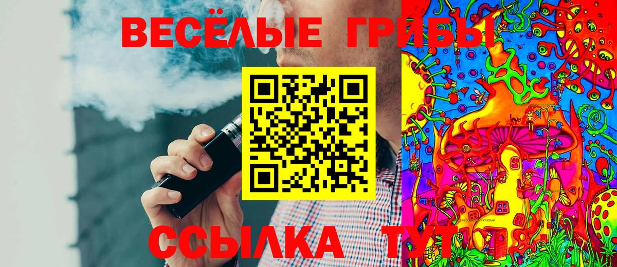 Галлюциногенные грибы Magic Shrooms Гусиноозёрск